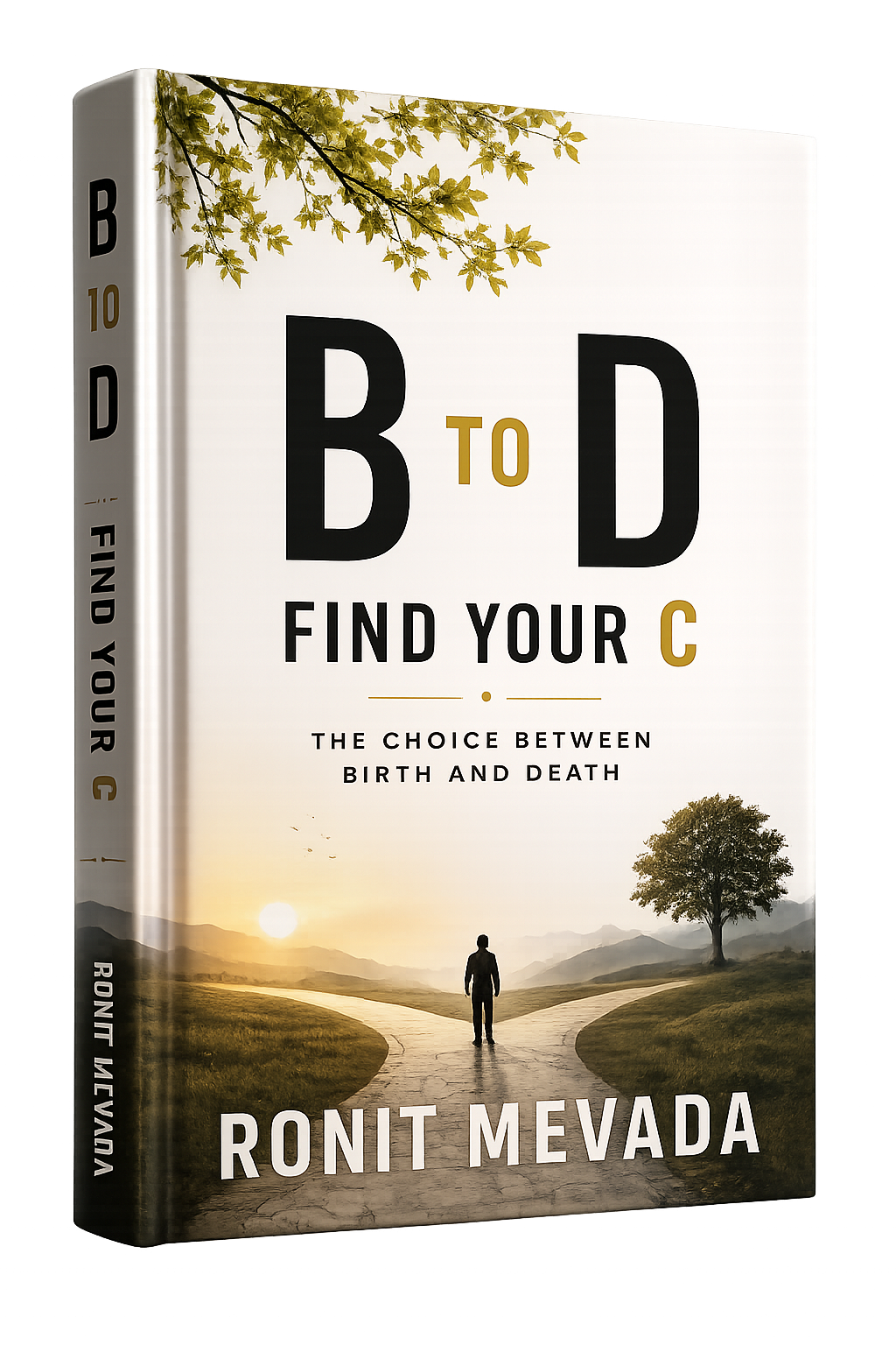 B to D - Find Your C Hardcover Book